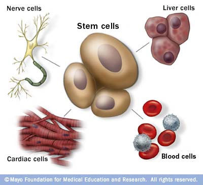 baby cord blood banking