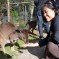 A Sunday stroll with native Australian animals