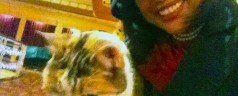 Charmed by Marzipan, the celebrity cat at Astor Theatre