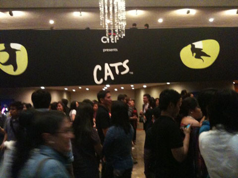 cats-show2