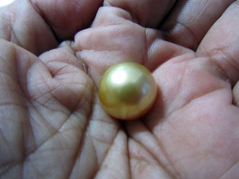 golden-pearl-jewelmer