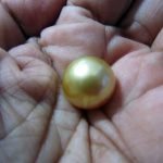 golden-pearl-jewelmer1