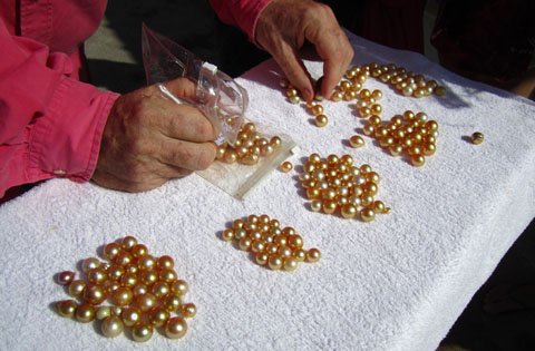 grading-golden-pearl-1