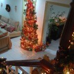 christmas lights