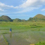 chocolate hills 1