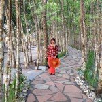pathway in south palms resort