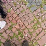 dachau cobblestone