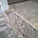 shower area