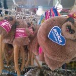 Bohol souvenirs