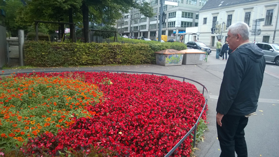 flowers in vienna