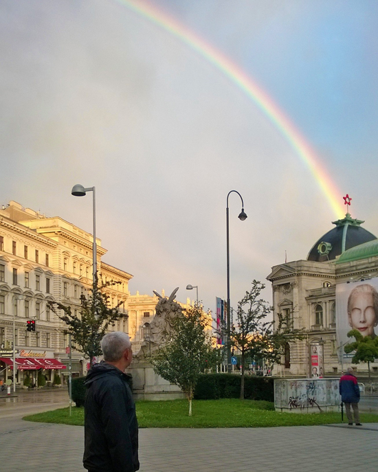 vienna in rainbow