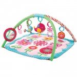 bright-starts-bloomin-birdies-activity-gym-pink-2435-325984-1-zoom