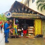 baragatan festival at puerto princessa