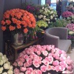 Te Amo Floristeria  fresh flowers