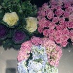 Te Amo Floristeria  roses