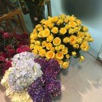 Te Amo Floristeria yellow roses