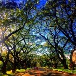 UP academic oval