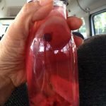 infused water from the juice barista