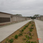 BAVI Contract growers