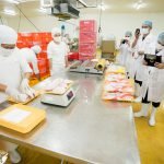 BAVI Trip processing 1