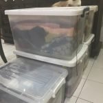 storage for rent manila philippines