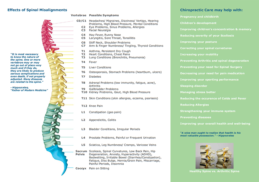 spinal care chiropractic