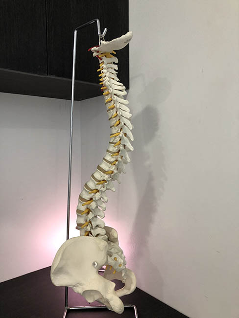 spinal care chiropractic
