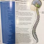 gonstead chiropractic 2