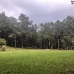 Luijoe meadow at benguet