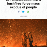 australia-bush-fires