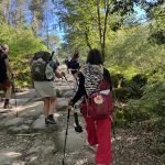 camino santiago may 23