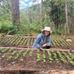 coffee farmer